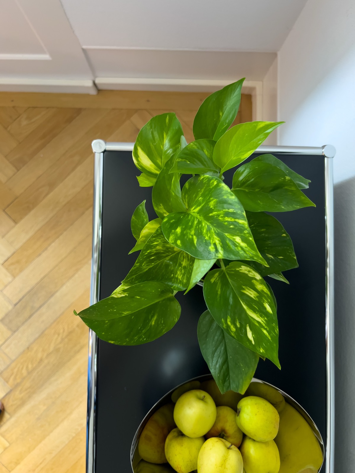 Büro Umgestaltung Teil 2 – Bild 4