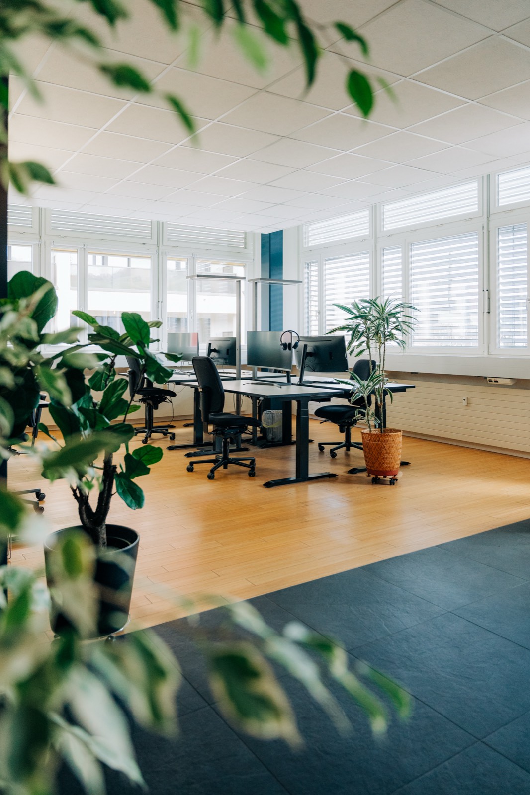 Workspace Dorfmatte – Bild 3