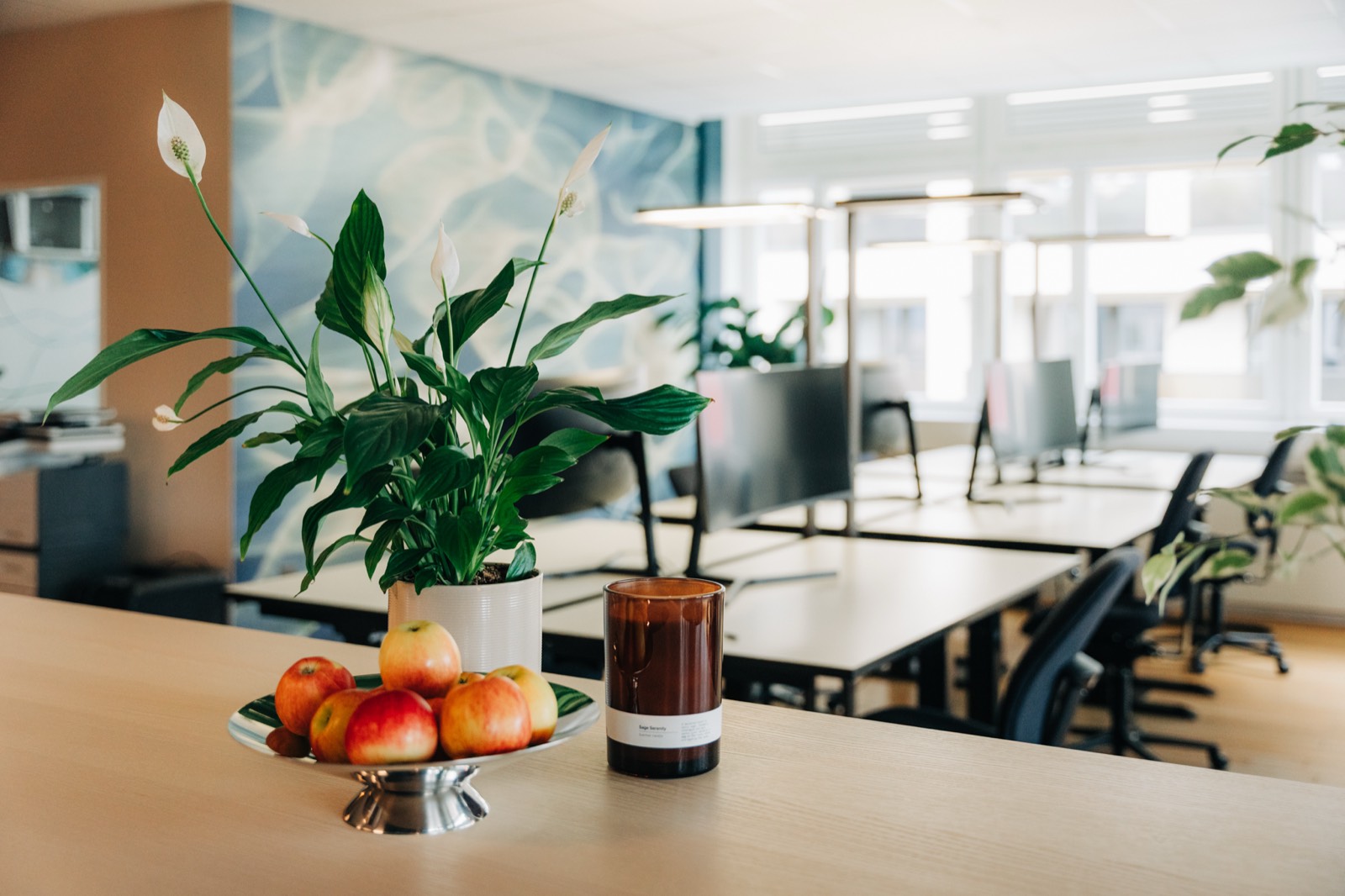 Workspace Dorfmatte – Bild 4